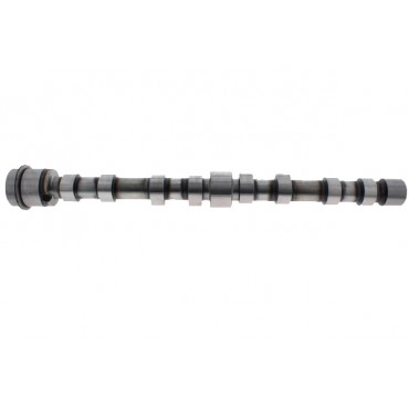 Arbre à Cames d'Admission Pour Fiat Ducato Iveco Peugeot Boxer Fiat Iveco 0801EL