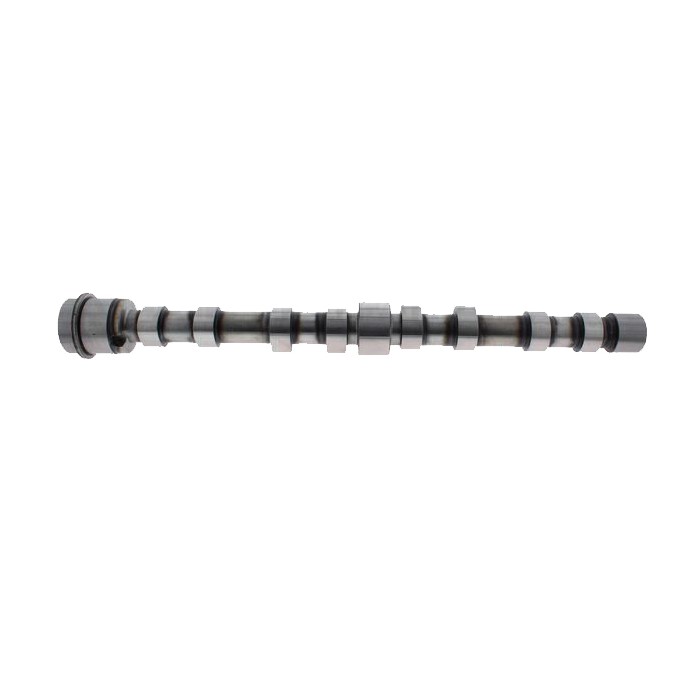 Arbre à Cames d'Admission Pour Fiat Ducato Iveco Peugeot Boxer Fiat Iveco 0801EL