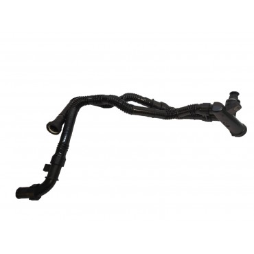 Tuyau du Radiateur Pour Citroën C1 C2 C3 I II Nemo Xsara Ford Fiesta V 1336X3