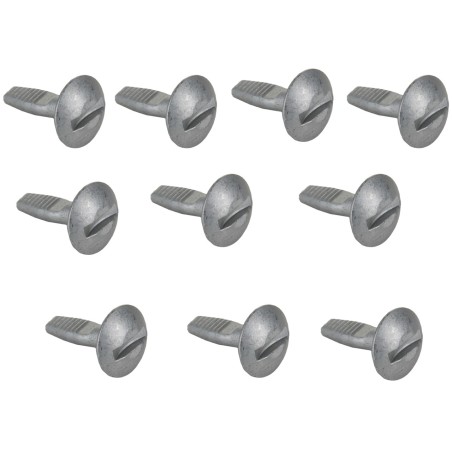 79