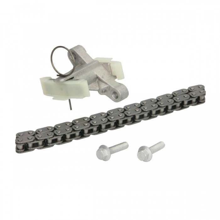 Kit Chaine de distribution C5 C6 S Type XF XJ Discovery Range Rover 1316113