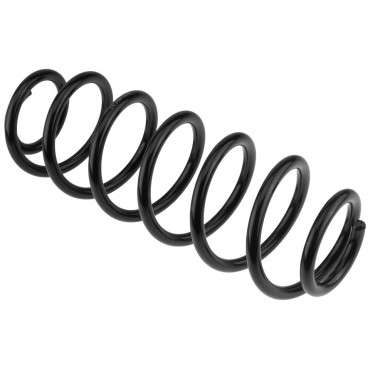 Ressort de Suspension Arrière Pour Seat Toledo IV Skoda Rapid 1J0511115AM
