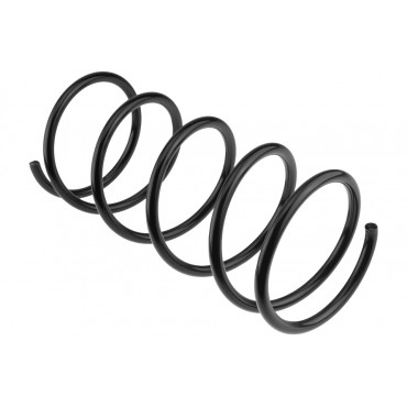 Ressort de Suspension Avant Pour Peugeot 206+ 306 5002P5 5002T4 500235
