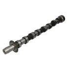 Arbre à Cames C4 C5 C8 Fiat Scudo C-MAX Focus Galaxy Expert 407 S40 0801AE