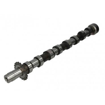 Arbre à Cames C4 C5 C8 Fiat Scudo C-MAX Focus Galaxy Expert 407 S40 0801AE