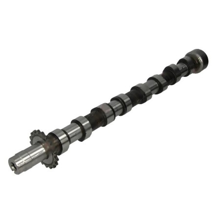 Arbre à Cames C4 C5 C8 Fiat Scudo C-MAX Focus Galaxy Expert 407 S40 0801AE