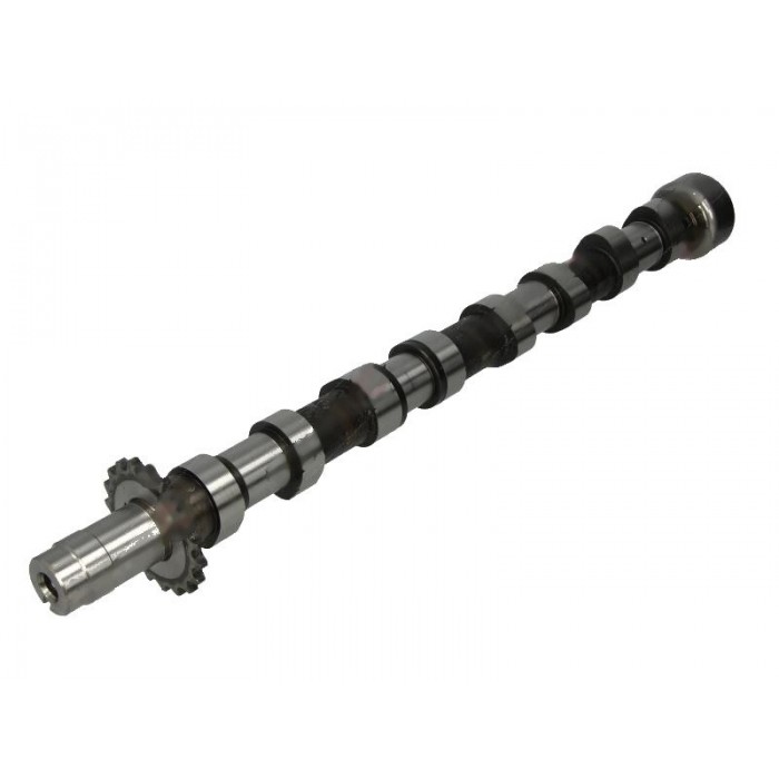 Arbre à Cames C4 C5 C8 Fiat Scudo C-MAX Focus Galaxy Expert 407 S40 0801AE