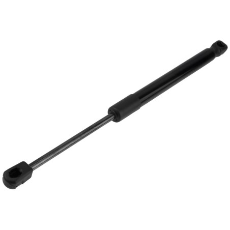 Vérin de Capot Moteur Pour Tesla Model 2017-2024 109147200B