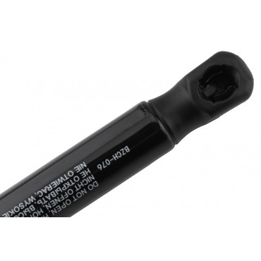 Vérin de Capot Moteur Pour Tesla Model 2017-2024 109147200B