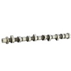 Arbre à Cames Nissan Cabstar D22/Navara NP300 Pathfinder Maxity 2.5 13020AD202