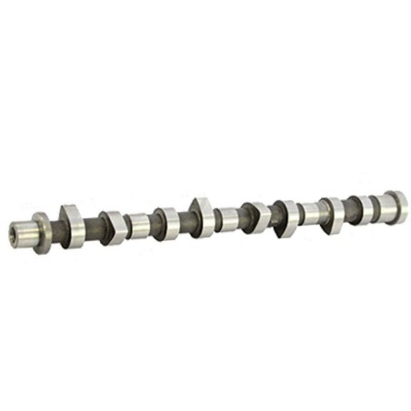 Arbre à Cames Nissan Cabstar D22/Navara NP300 Pathfinder Maxity 2.5 13020AD202