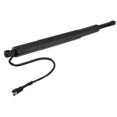 Vérin de Coffre electrique Pour Bmw Série 5 G31 51248494106 51247390410