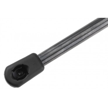 Vérin Hayon de Coffre Pour Tesla Model 3 2017-2020 109156000B 109156000A