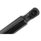 Vérin Hayon de Coffre Pour Tesla Model 3 2017-2020 109156000B 109156000A