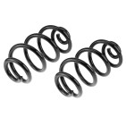 x2 Ressort de Suspension Arrière Pour Nissan X-Trail II 55020JG21A 55020JG20A