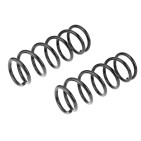 x2 Ressort de Suspension Arrière Pour Nissan Almera II 2000-2006 55020BM410