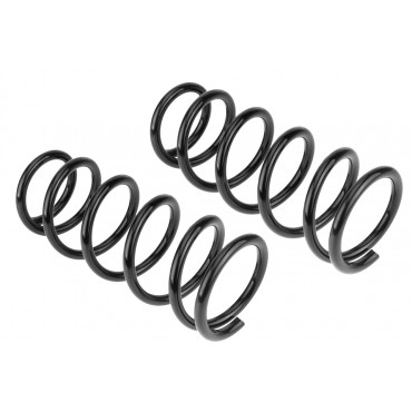 x2 Ressort de Suspension Arrière Pour Nissan Almera II 2000-2006 55020BM410