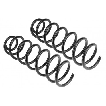 x2 Ressort de Suspension Arrière Pour Renault Megane III 2008-2015 550200026R