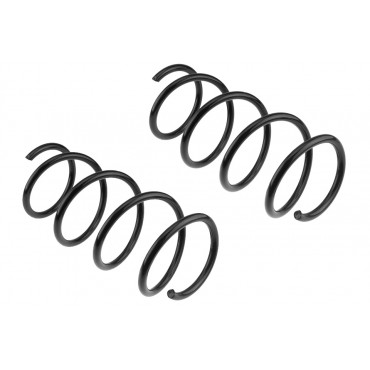 x2 Ressort de Suspension Avant Pour Nissan Juke 2010-2019 540101KA1B 540101KA0B