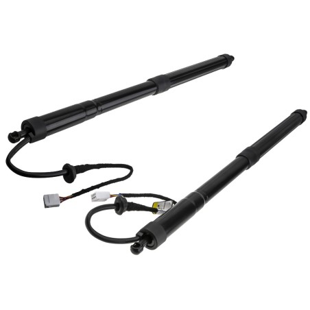 x2 Vérin de Coffre electrique Pour Lexus Ux 2018-2024 6802076010+6801076010