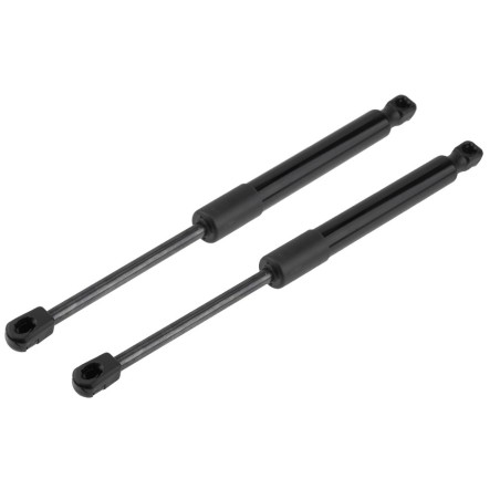 x2 Vérin Hayon de Coffre Pour Tesla Model 3 2017-2020 109156000B 109156000A