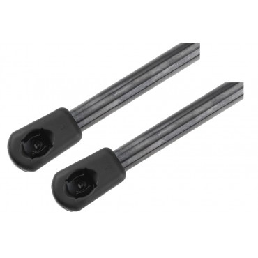 x2 Vérin Hayon de Coffre Pour Tesla Model 3 2017-2020 109156000B 109156000A