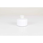 Filtre à Carburant Pour Land Rover Discovery III IV Range Rover III WJI500020