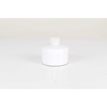 Filtre à Carburant Pour Land Rover Discovery III IV Range Rover III WJI500020