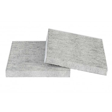 Filtre Habitacle à Charbon Pour Bmw X3 F25 X4 F26 64312284828 64319237157