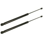 Vérin Hayon Coffre X2 Ford Focus 1701829 1708918 1718369 1747492