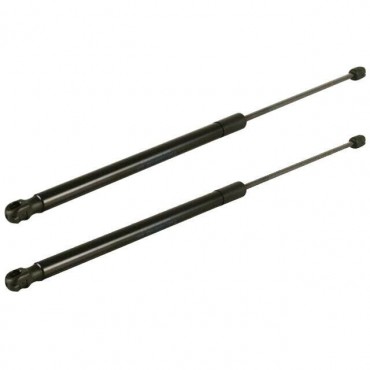 Vérin Hayon Coffre X2 Ford Focus 1701829 1708918 1718369 1747492