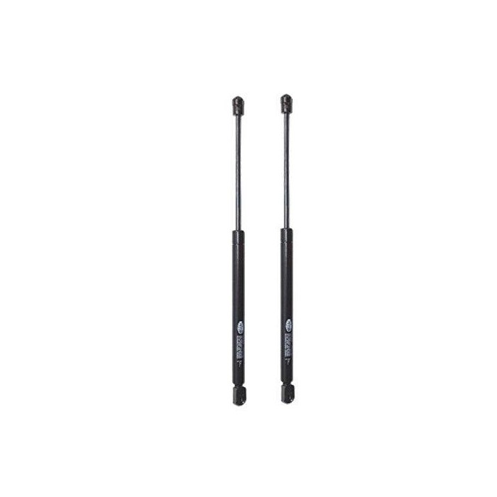 Vérin Hayon Coffre X2 MINI R56 51247148902