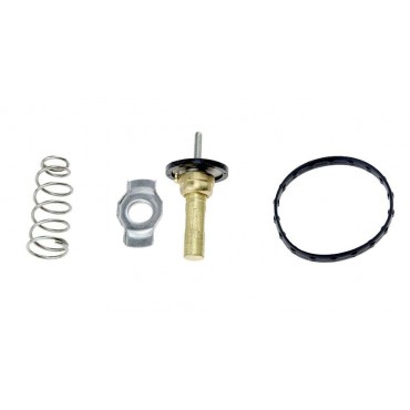 THERMOSTAT D'EAU SMART FORTWO 451 A1322000015