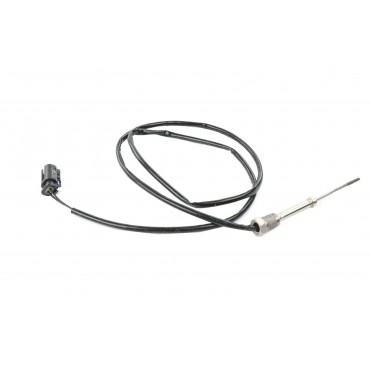 Sonde température gaz BMW Série 2 X1 F48 MINI F54 F60 F57 8570121 13628570121