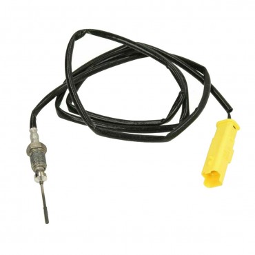 Sonde température gaz C4 C5 DS4 DS5 3008 308 407 5008 508 RCZ 9670381580 1618KP