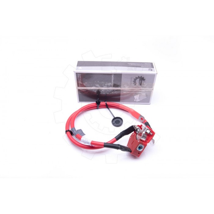Cable de Batterie Plus Pour BMW Série 1 F20 F21 2 F22, F87 F23 61129253111