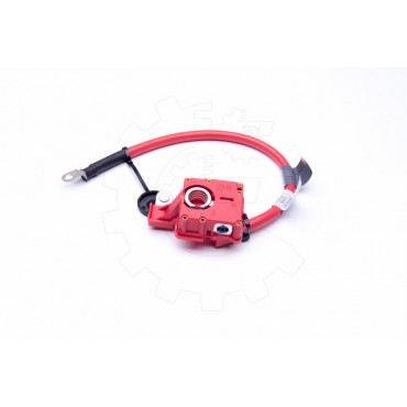 Cable de Batterie Plus Pour BMW Série 1 E82 E88 3 E90 E91 E92 61129217031