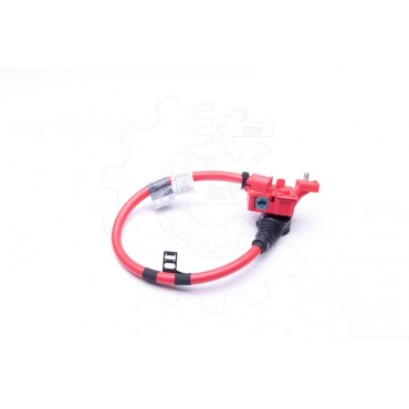 Cable de Batterie Plus Pour BMW Série 7 F01, F02, F03, F04 61129217033 9217033