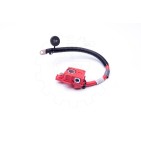 Cable de Batterie Plus Pour BMW X5 E70 X6 E71, E72 61129217004 9217004