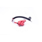 Cable de Batterie Plus Pour BMW X5 E70 X6 E71, E72 61129217004 9217004