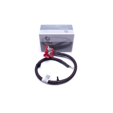 Cable de Batterie Plus Pour BMW X5 F95, G05 61128795485