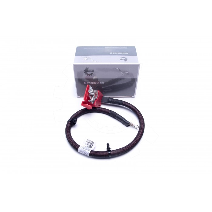 Cable de Batterie Plus Pour BMW X5 F95, G05 61128795485
