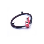 Cable de Batterie Plus Pour BMW X7 G07 61128795489