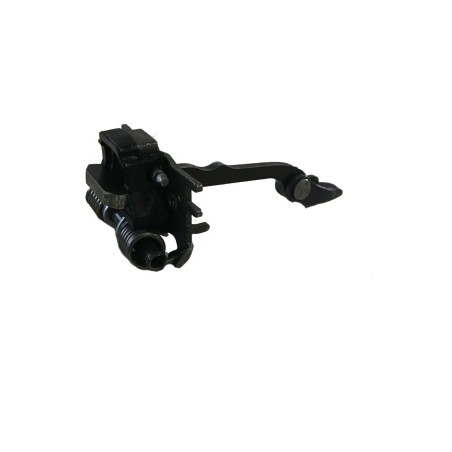 Charnière de porte RENAULT Grand Scénic III 824309533R