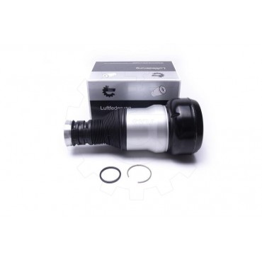 Amortisseur Pneumatique Suspension Arrière Droit Pour Mercedes-Benz 2223203000