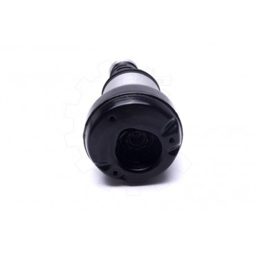 Amortisseur Pneumatique Suspension Arrière Droit Pour Mercedes-Benz 2223203000