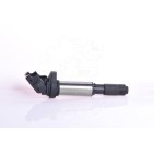 Bobine d'Allumage Pour Peugeot BMW Citroën DS 597064 0495289 9806702780