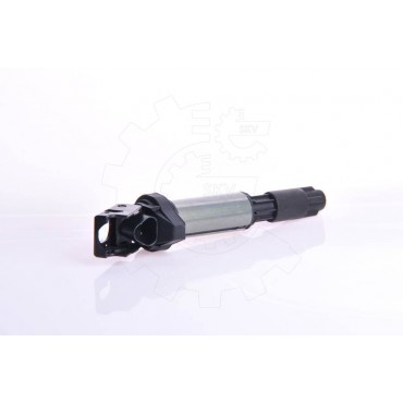 Bobine d'Allumage Pour Peugeot BMW Citroën DS 597064 0495289 9806702780