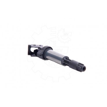 Bobine d'Allumage Pour Peugeot BMW Citroën DS 597064 0495289 9806702780
