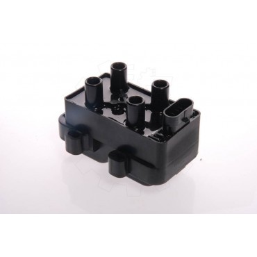 Bobine d'Allumage Pour Renault Dacia Nissan 224336134R 6001543604 2244800QAD